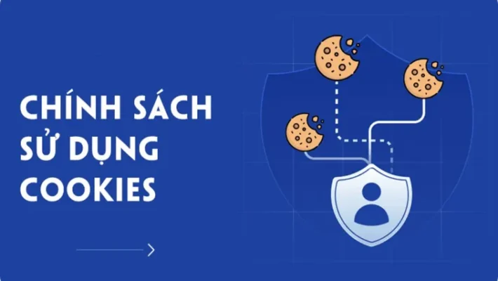 Chính Sách Cookies Hitclub Quy Định Về Thu Thập Dữ Liệu Và Trải Nghiệm Người Dùng